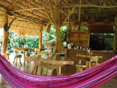 Blue Conga Hotell Puerto Viejo de Talamanca Eksteriør bilde